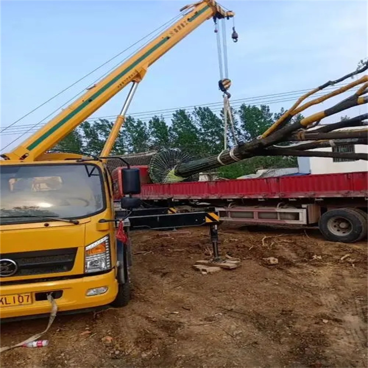 建始100吨吊车租赁费用怎么算？3大关键因素+省钱技巧全解析